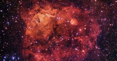 La Nebulosa del Gato Sonriente, captada en una nueva imagen de ESO
