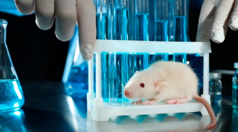 Inteligencia artificial podría eliminar experimentos científicos en animales
