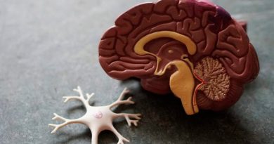 Un estudio demuestra que la región de la amígdala cerebral es clave en Alzheimer