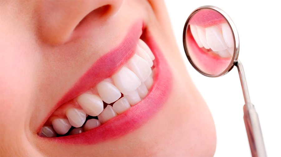 ¿Adiós a los implantes? Un fármaco podría hacer que dientes se regeneren naturalmente