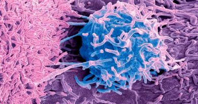 Cáncer: el misterio de los microbios que viven dentro de los tumores