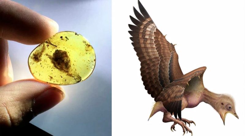 Explicación a por qué algunos dinosaurios sobrevivieron como aves