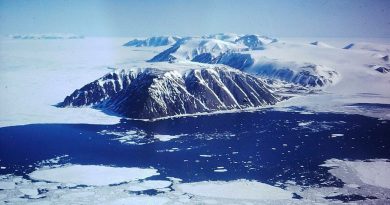 Un oasis marino en el Ártico resiste el embate del calentamiento