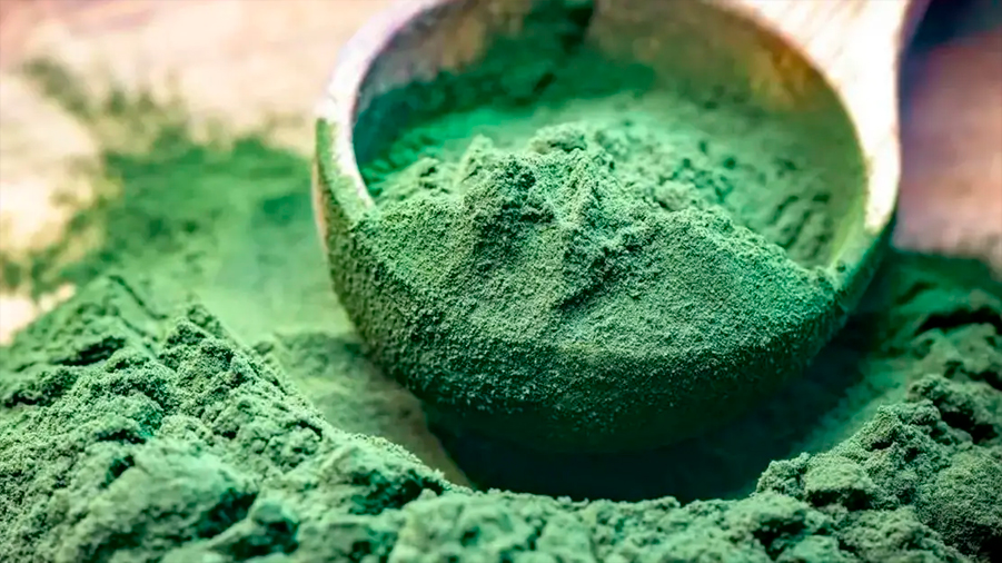 Bioplásticos de espirulina podrían degradarse en tu patio trasero como un plátano