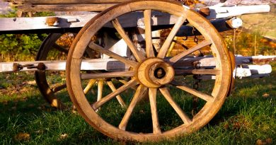 En busca del genio anónimo: ¿Quién inventó la rueda?