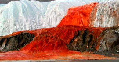 Después de un siglo resuelven el misterio de las Cascadas de Sangre en la Antártida