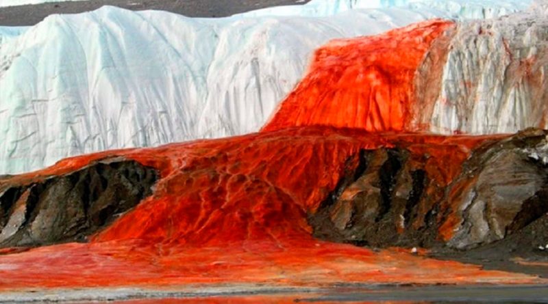 Después de un siglo resuelven el misterio de las Cascadas de Sangre en la Antártida