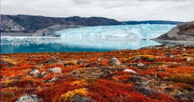 Un núcleo de hielo perdido revela que la mayor parte de Groenlandia era verde hace 416 mil años