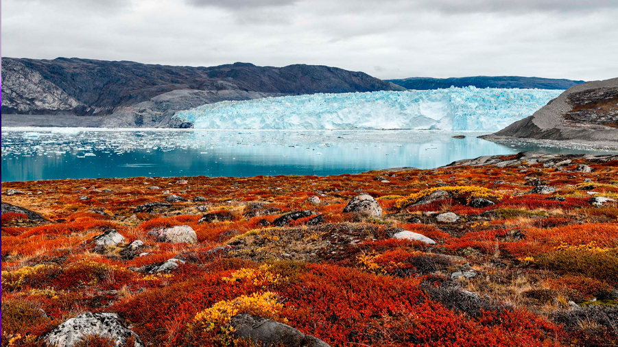 Un núcleo de hielo perdido revela que la mayor parte de Groenlandia era verde hace 416 mil años