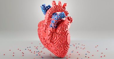Revelan un atlas detallado de células cardíacas humanas