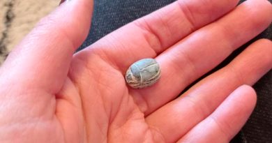 Una niña encuentra un escarabajo de hace 3.500 años en el sitio donde David venció a Goliat