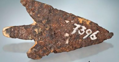 Descubren una punta de flecha de la Edad de Bronce hecha con un meteorito