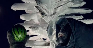 Sandías en la Antártida: científicos lograron cultivar esta fruta en el lugar más frío del planeta