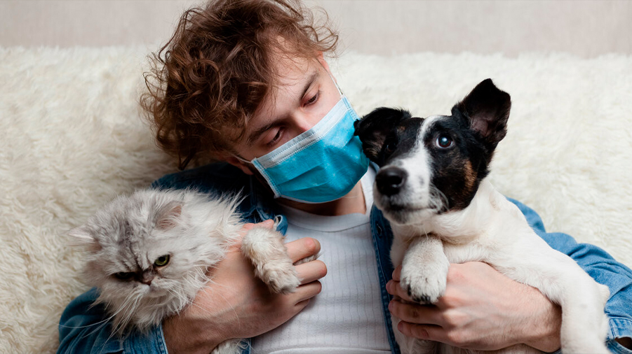 Demuestran que las mascotas no contagiaron a los humanos en la pandemia de covid-19