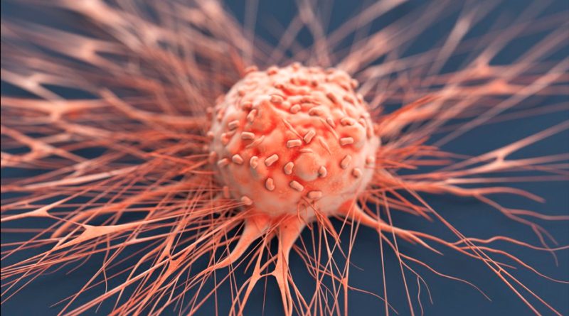 Identifican un impulsor clave de la vía de muerte celular del cáncer que activa las células inmunitarias