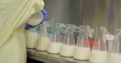 Descubren una nueva propiedad de la leche materna capaz de evitar el daño cerebral en bebés prematuros