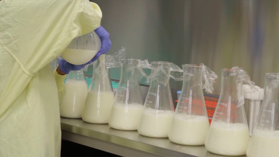 Descubren una nueva propiedad de la leche materna capaz de evitar el daño cerebral en bebés prematuros