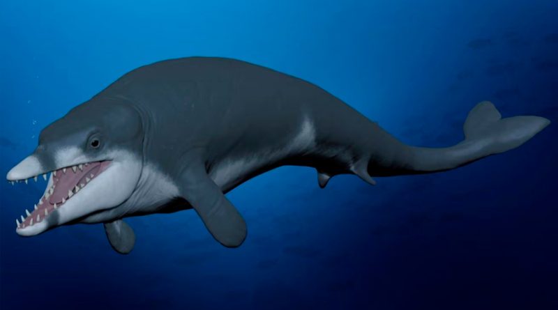 Nueva especie de ballena extinta descubierta en el desierto egipcio