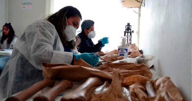 Hallan vestigios arqueológicos en obras del Trolebús de México