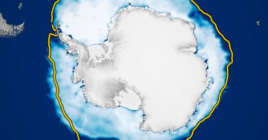 Hielo marino de la Antártida presenta niveles ‘excepcionalmente bajos’: evidencia imagen satelital