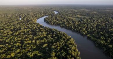 Una expedición busca demostrar que el Amazonas es el río más largo del mundo