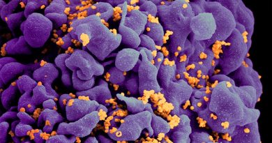 El microbioma intestinal puede aumentar el riesgo y la gravedad del VIH y el Epstein-Barr