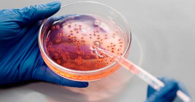 Logran entrenar bacterias para detectar cáncer