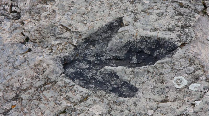 Un fósil muestra que los dinosaurios también tuvieron precursores bípedos