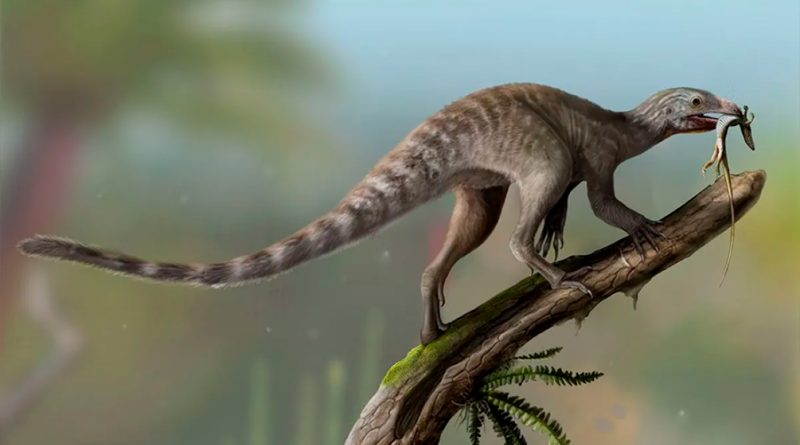 Encuentran ancestro no volador de los pterosaurios