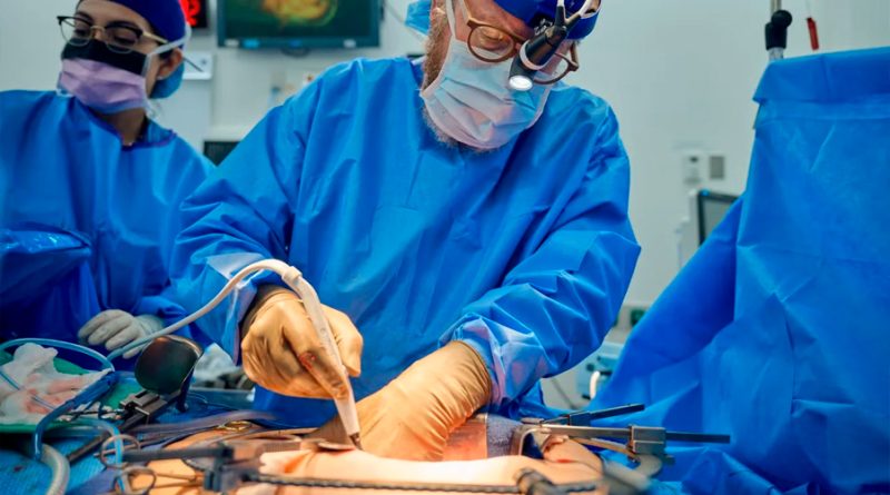 Trasplante de riñón de cerdo a un hombre con muerte cerebral ha funcionado un mes