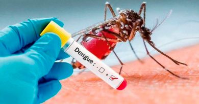 El 26 de agosto: 'Día Internacional contra el Dengue'
