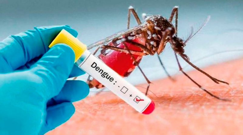 El 26 de agosto: 'Día Internacional contra el Dengue'