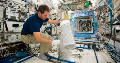 La grasa ósea sale al rescate de la salud de los astronautas en el espacio