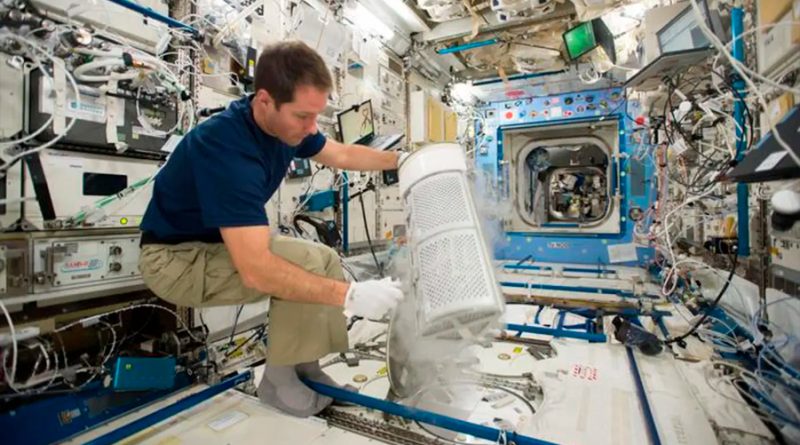 La grasa ósea sale al rescate de la salud de los astronautas en el espacio