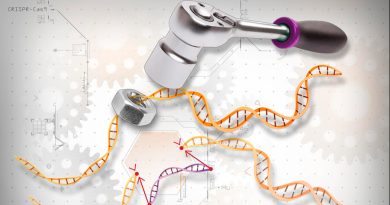 Nueva técnica de edición de genes ofrece un camino hacia terapias de precisión