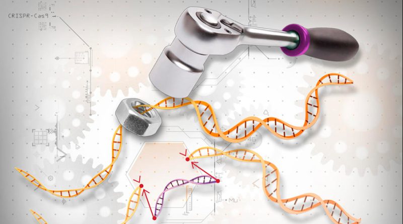 Nueva técnica de edición de genes ofrece un camino hacia terapias de precisión