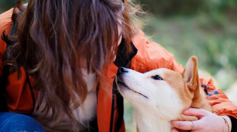 Perros muestran mayor sensibilidad cerebral cuando les hablan las mujeres: estudio
