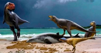 Nuevos primos de T. Rex agrandan la edad de los dinosaurios en África