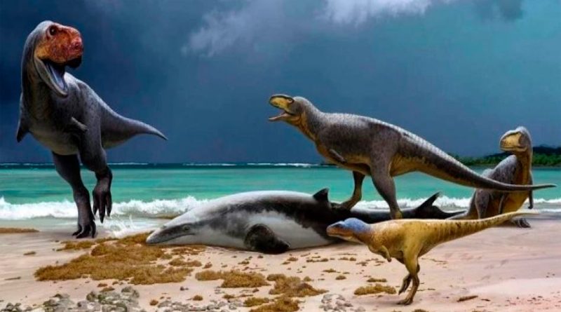 Nuevos primos de T. Rex agrandan la edad de los dinosaurios en África
