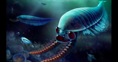 Un ancestro con tres ojos de los crustáceos rellena brecha evolutiva