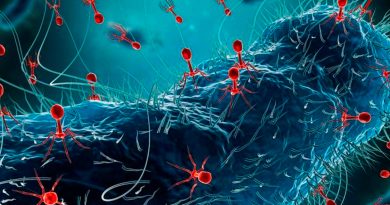 Fagos: virus 'come' bacterias para combatir la resistencia a los antibióticos