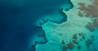 Greenpeace halla 366 arrecifes profundos en Golfo de México; exige protección