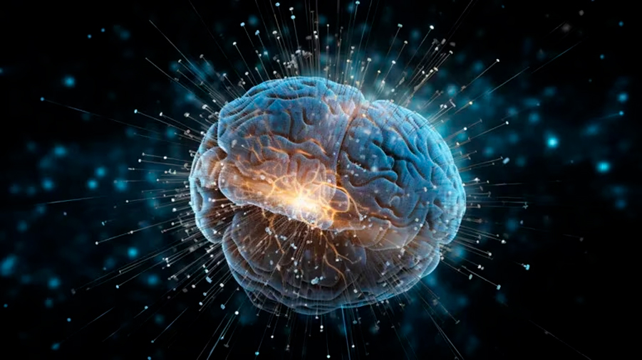 Descubren por qué los tumores pueden 'hackear' el cerebro y generar problemas de memoria