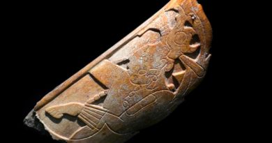 Hallan un adorno nasal maya que revela secretos de Palenque y su culto a K’awiil, el dios del maíz