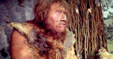 Los neandertales fracturaban huesos para consumir la médula