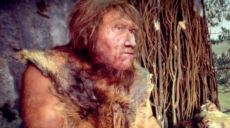 Los neandertales fracturaban huesos para consumir la médula