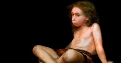 Descubren hueso de bebé homo sapiens en una cueva de neandertales en Francia