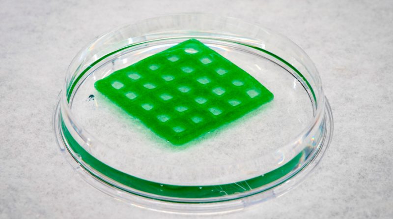 ‘Material vivo’ impreso en 3D para limpiar el agua contaminada