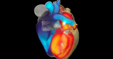 Crean un simulador del corazón para revolucionar la investigación cardiaca