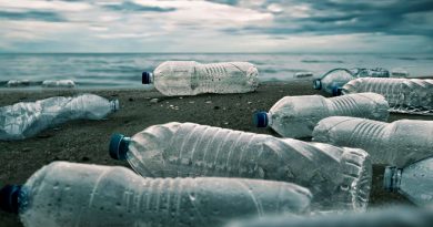 Logran que bacteria modificada descomponga el plástico en el mar